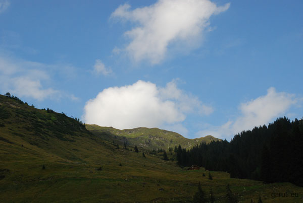 DSC_0660