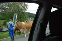 DSC_0711