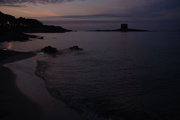 DSC_0099